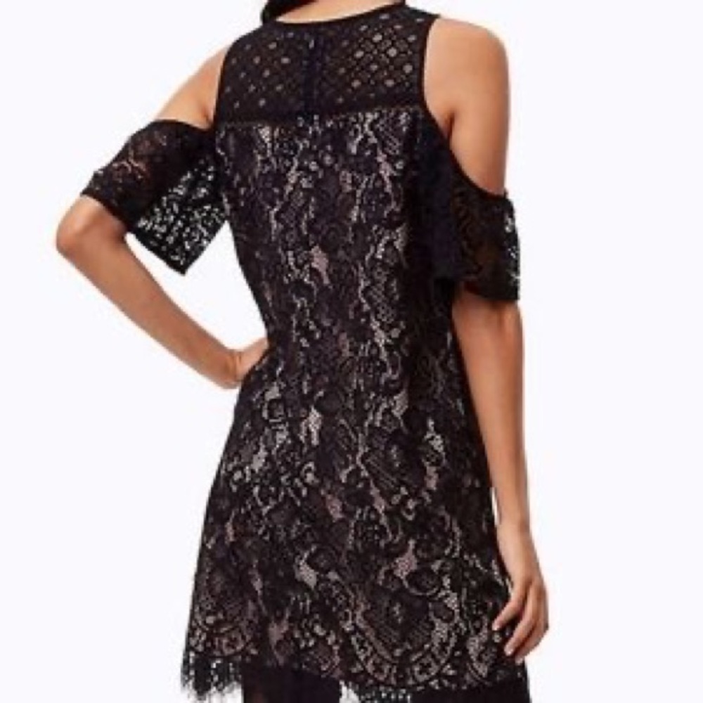 NWT LOFT Lace Cold Shoulder Dress 4 Petite